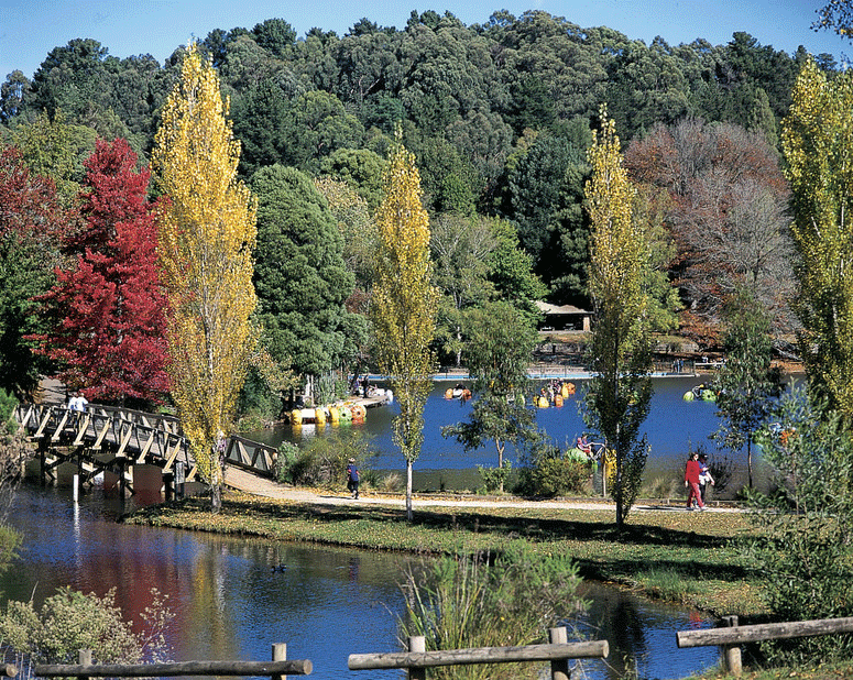 Emerald Lake in the Dandenongs