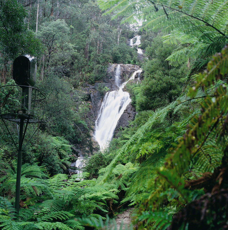 Steavenson Falls Marysville.